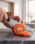 4-Piece Japanese Knife Set | Gyuto, Nakiri, Santoku Deba & Petty | High-Carbon Stainless Steel