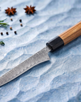 5.5" Boning & Fillet Knife | VG10 67-Layer Damascus Steel | Rosewood Handle