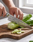 8" Damascus Santoku Chef Knife — VG10 67-Layer Steel, Abalone Shell Handle