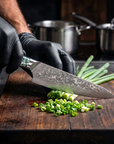 8" Damascus Santoku Chef Knife — VG10 67-Layer Steel, Abalone Shell Handle