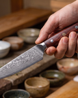4-Piece Damascus Steak Knife Set | 67-Layer Damascus Steel | Wood Handles