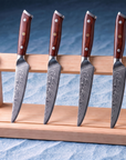 4-Piece Damascus Steak Knife Set | 67-Layer Damascus Steel | Wood Handles