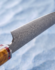 8" Kiritsuke Chef Knife — VG10 Damascus Steel, Octagonal Resin Handle